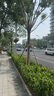 361°嬰兒推車0-3歲一鍵折疊收車輕便高景觀遛娃神器可坐可躺遮陽(yáng)T008 曬單實(shí)拍圖