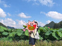愛帝輕戶外山系休閑短裙女式2025夏季新款簡約洋氣百搭速干運(yùn)動半身裙 曬單實拍圖