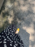 百麗（Belle）舒芙蕾絨面平跟單鞋女2025秋新商場款羊皮軟底便鞋E1E1DCQ5預售 黃色 36 曬單實拍圖