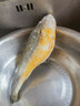 黃花魚(yú)生鮮 2斤一條可選 野生大黃魚(yú)活魚(yú)冷凍生態(tài)海捕 禮盒裝魚(yú)類(lèi) 6條 家庭首選【 禮盒裝】 2斤/條【送禮首選】 曬單實(shí)拍圖
