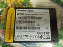 西部數據（WD）筆記本臺式機電腦 SSD固態(tài)硬盤(pán) SA510 SATA M.2 Blue系列 3D技術(shù) 高速讀寫(xiě) WD Blue SATA | 性能款 250G 曬單實(shí)拍圖