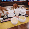 澤名家?guī)r山茶盤竹制干泡茶盤托盤家用功夫茶臺盤小型泡茶干泡臺 巖山茶盤_長方盤 曬單實拍圖