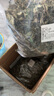 連環(huán)馬濟(jì)源特產(chǎn)冬凌草純?nèi)~咽喉草王屋山冬凌草葉子冰冬凌茶 純?nèi)~子 1000克 曬單實(shí)拍圖
