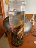 宜露梅花鹿鮮鹿茸100克頭茬二杠中上段帶血整根切泡酒藥材料源頭直發(fā) 曬單實(shí)拍圖