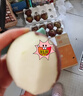 南步陜西彩虹梨 渭南彩紅梨香梨彩皮梨早酥蜜梨七彩紅皮梨子新鮮水果 精選5斤 大果【約13-16枚】 曬單實拍圖