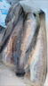 黃花魚新鮮小黃魚深海魚海鮮水產(chǎn)鮮活海鮮魚新鮮鮮活冷凍非大黃魚 3斤小黃花魚 曬單實(shí)拍圖