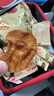 佰利佳蘋(píng)果干100g煙臺紅富士原味富含膳食纖維獨立小包裝水果干零食 曬單實(shí)拍圖