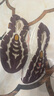 安踏奧特萊斯探野I戶外徒步登山運(yùn)動(dòng)鞋女防滑越野鞋Vibram大底跑步鞋 曬單實(shí)拍圖