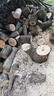 卡夫威爾電鋸鏈條 直角鏈條鋸 汽油鋸電鏈鋸鋸條 59節(jié) (16英寸) CU4239L 曬單實(shí)拍圖