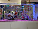 吉印刀鋒z魚(yú)缸燈增艷led燈潛水金魚(yú)紅龍魚(yú)血鸚鵡錦鯉羅漢增色燈全光譜 76cm增艷燈20W【76-85cm缸】 曬單實(shí)拍圖