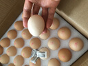 1號(hào)會(huì)員店富硒鮮雞蛋30枚 源頭直發(fā) 凈重3斤 曬單實(shí)拍圖