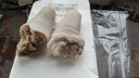 農(nóng)家溜達放養(yǎng)土豬肉豬尾巴新鮮長尾巴人工宰殺整根冷凍批發(fā)一整箱 送燉料 切塊發(fā)貨 大樹林散養(yǎng)土豬【短尾半斤試吃】 曬單實拍圖