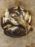 船長漂船長浮漂C77鯽魚漂手工蘆葦高靈敏醒目清晰黑坑競技鯉魚經典魚漂 C77標準長【橘黃近視尾】 2號一支 曬單實拍圖