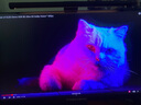 泰坦軍團(tuán)27英寸 2304分區(qū) MiniLED 4K170Hz雙模340Hz DyDs技術(shù) HDR1400 Type-C 90W 電競顯示器P275MV MAX 曬單實拍圖