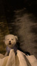 My Pet Patisserie 美柏斯寵物漢方羊奶乳酪蛋糕狗狗貓咪生日零食香港品牌天然低敏營(yíng)養糕點(diǎn) 三文魚(yú)75g+牛肝75g+姜黃雞肉75g 曬單實(shí)拍圖