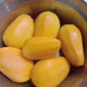 海南小臺(tái)農(nóng)芒果9斤新鮮現(xiàn)摘小臺(tái)芒應(yīng)當(dāng)季時(shí)令熱帶水果整箱甜心芒 9斤 【小果】嘗鮮裝 曬單實(shí)拍圖