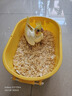 乖卷鸚鵡木屑刨花墊料鳥用繁殖箱鳥窩玄鳳蘆丁雞虎皮保暖孵化墊料1KG 曬單實拍圖