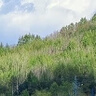 大水牛全站儀對(duì)中桿支架2.15米3米5米rtk/gps適用徠卡三腳架測(cè)量棱鏡桿 三腳對(duì)中支架【黃色耐磨款】 曬單實(shí)拍圖
