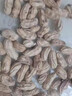 富硒黑花生帶殼農家自然晾曬養胃正宗黑花生當年新貨原味新鮮花生 滿(mǎn)滿(mǎn)花青素【500克】農家自種 曬單實(shí)拍圖