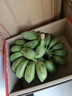 傾睦廣西小米蕉自然熟軟糯香甜粉蕉現(xiàn)摘青皮發(fā)貨寶寶輔食孕婦新鮮水果 2斤精品【14-28根】 曬單實拍圖