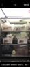 季萌4個裝食品級冰箱儲物盒收納盒抽屜式廚房蔬菜水果食品雞蛋保鮮盒 4個裝(尺寸：32*18*12cm) 曬單實拍圖