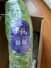 小湯山 有機西芹  約700g(葉多,根莖小)  有機蔬菜 基地種植當天采 曬單實拍圖