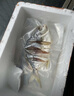 【順豐包郵】廣東陽江特 產(chǎn)金鯧魚干 漁民農(nóng)家日曬海魚干淡口風(fēng)干 6條【150-200克/條】共約1050克 曬單實拍圖