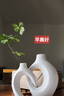 君始酒柜擺件高端大氣現(xiàn)代簡(jiǎn)約客廳電視柜裝飾品輕奢高檔創(chuàng)意辦公室工 依偎花瓶+仿真小綠葉 曬單實(shí)拍圖