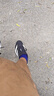 阿迪達斯男鞋 ADIZERO BK 輕便透氣緩震競速跑步運動鞋 JP6528 42  曬單實拍圖