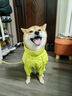 MOEPIE小型犬狗狗雨衣泰迪比熊雪耐瑞雨衣四腳全包雨披戶(hù)外沖鋒衣 綠色 L（推薦19-25斤狗狗） 曬單實(shí)拍圖