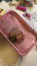 duga多加小麻薯痛包透明筆袋吧唧文具袋女小學(xué)生初中生女孩款新款設(shè)計(jì)感小眾鉛筆盒高顏值手工DIY 小麻薯痛包筆袋-啦啦隊(duì)長(zhǎng)（粉色） 曬單實(shí)拍圖