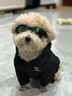 寵物沖鋒衣小型狗狗秋冬棉服潮牌泰迪比熊雪納瑞法斗衣服 黑色 XXL背44建議15-19斤左右 曬單實(shí)拍圖