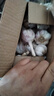 【營田半畝】蒜干蒜頭蒜大蒜紫白皮大蒜當(dāng)季蔬菜0.5-5斤 2斤帶箱重【果徑4.5-5cm】大果 曬單實(shí)拍圖