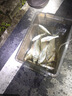 沃鼎王朝唐夜光漂咬鉤變色高靈敏電子漂超細硬尾漂 2號咬鉤變色LED款 曬單實拍圖