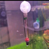 森森水族溫度計(jì)養(yǎng)魚水溫計(jì)熱帶魚測水溫儀器魚缸水族箱測水溫儀 小胖魚缸溫度計(jì)*長11cm 曬單實(shí)拍圖