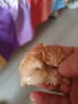 柒島內(nèi)蒙古新鮮純羊肉生鮮去骨羊腿肉純?nèi)庋蚝笸热怃袒疱仧究救馊怵W 頂配 純?nèi)猓ㄑ蛲热猓?2-2.2斤 曬單實(shí)拍圖