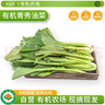 沈佳農(nóng)有機菜心新鮮蔬菜配送認證農(nóng)場時令青菜葉菜有機菜輔食順豐 有機菜心250g 曬單實拍圖