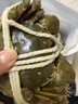 【禮券】鮮京采大閘蟹中秋禮品卡券288型 公蟹3兩 母蟹2兩 3對6只 生鮮螃蟹禮盒 曬單實(shí)拍圖