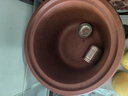 九陽(yáng)（Joyoung）電燉鍋電燉盅5L大容量紫砂預(yù)約電砂鍋 多功能鍋 智能定時(shí)精燉煮粥煲湯鍋DG50Z-GD510 曬單實(shí)拍圖