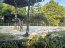 UNDER ARMOUR安德瑪快干短袖T恤男夏季輕薄透氣休閑健身運(yùn)動(dòng)跑步上衣半袖 曬單實(shí)拍圖