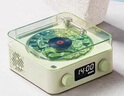 KAWOO開物白噪音藍牙音箱聽海助眠桌面擺件唱片機水波紋氛圍夜燈noowere時鐘音響送女友520情人節(jié)禮物 海鹽白 曬單實拍圖