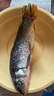 春之卉瑾鯉魚(yú)大鯉魚(yú)新鮮鮮活鯉魚(yú) 大魚(yú) 活魚(yú)現殺淡水魚(yú) 鯉魚(yú) 一條裝(8兩-1.0斤) 曬單實(shí)拍圖