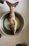 颶利強(qiáng)鰱鱅釣組翻板鉤爆炸鉤套裝海桿翻版魚(yú)鉤水怪餌籠大肚漂方塊餌專用 翻版鉤鰱鳙釣組12#/2套 曬單實(shí)拍圖
