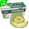京鮮生 玫瓏網(wǎng)紋甜瓜 凈重4-5斤 2粒禮盒源頭直發(fā) 曬單實(shí)拍圖