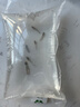 寵小俠純種孔雀魚觀賞魚好養(yǎng)耐活淡水小型魚熱帶魚鳳尾熱帶魚小魚苗 6精品公母品種隨機(jī) 曬單實(shí)拍圖