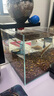 森森（SUNSUN）魚(yú)缸過(guò)濾器循環(huán)水泵三合一抽水泵水族箱過(guò)濾制氧 底吸吸便】15W增氧流量可調 適合0.6-0.8缸 曬單實(shí)拍圖