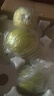 冰糖翠玉梨當(dāng)季新鮮水果脆甜梨子蘋果梨青皮翠冠皇冠梨整箱 凈重5斤精品大果 10年老樹頭茬果爆甜 曬單實(shí)拍圖