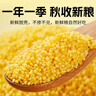 赤川25年新米敖漢黃小米5斤金苗K1（內蒙古赤峰小米粥雜糧粥黃小米） 曬單實(shí)拍圖