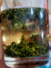 胖東.來《浙江7A特級高山綠茶》2025新茶浙江明前高山綠茶濃香型 7A特級高山綠茶250克一罐 曬單實拍圖
