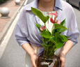 老鳳祥四葉草純銀項鏈女士輕奢時尚鎖骨鏈七夕情人節(jié)禮物送女友老婆生日 冰晶四葉草套鏈【品牌禮盒】 曬單實拍圖